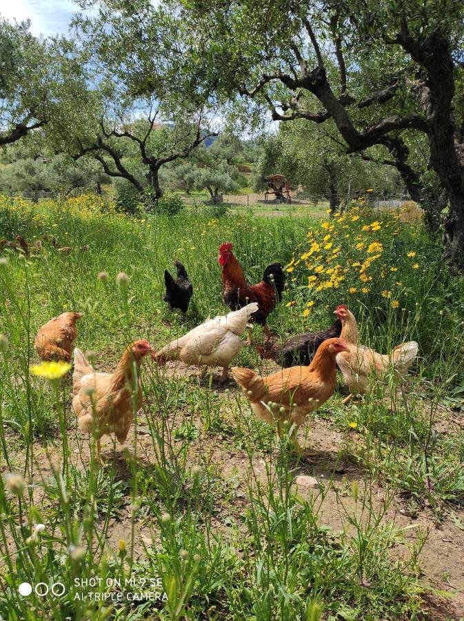 Lithies Farm Houses Vasilikos  Exterior photo